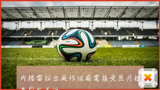内格雷拉出庭作证前需接受医疗检查引发关注