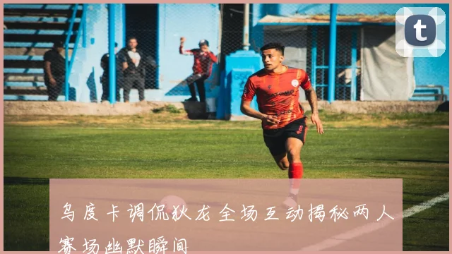 乌度卡调侃狄龙全场互动揭秘两人赛场幽默瞬间