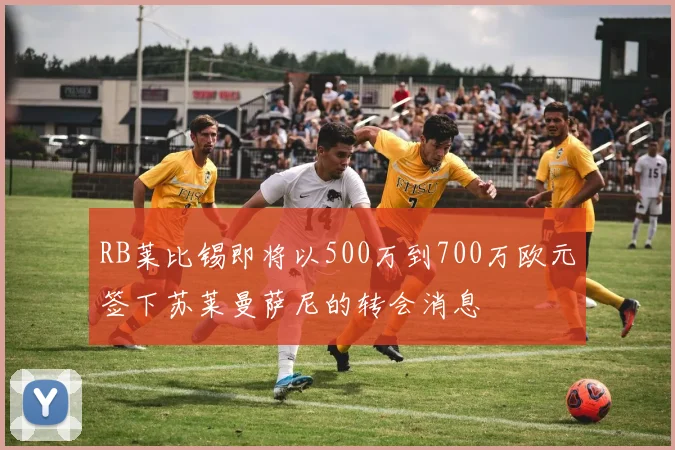 RB莱比锡即将以500万到700万欧元签下苏莱曼萨尼的转会消息
