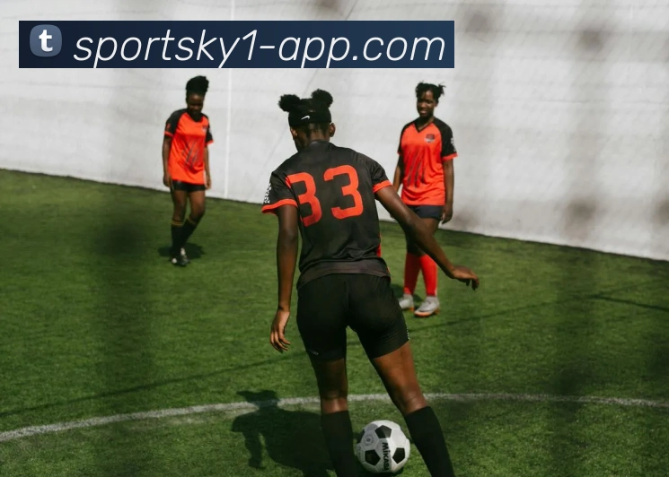 开云体育平台生态图